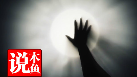 【木鱼说】谁,没有痛过呢?
